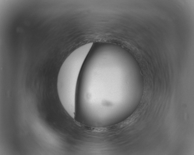 X0000073420720200608041024