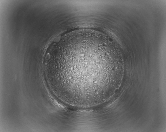 X0000073420721200608041023