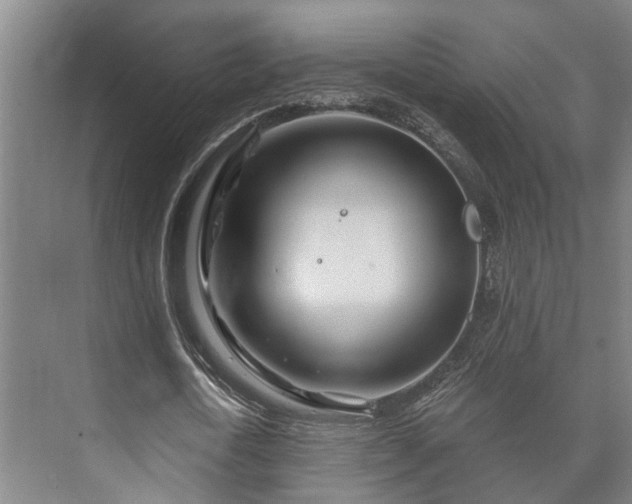 X0000073420722200608041023