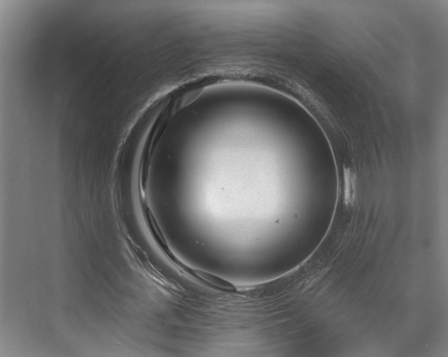 X0000073420723200608041023