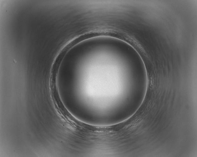 X0000073420724200608041023