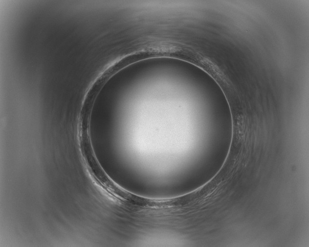 X0000073420726200608041023