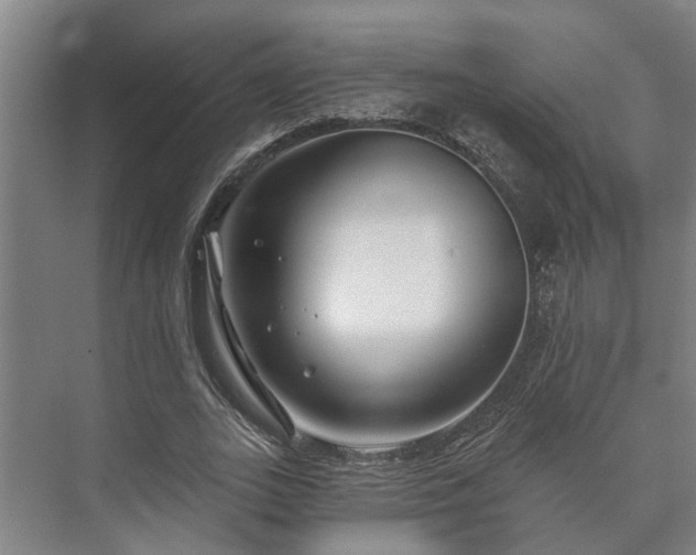 X0000073420727200608041023