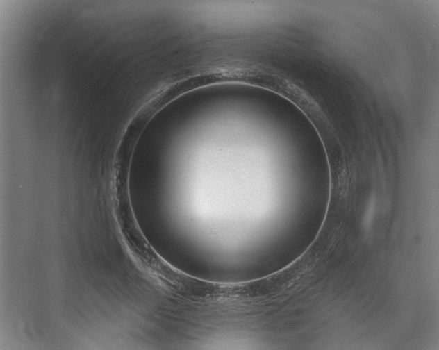 X0000073420730200608041023