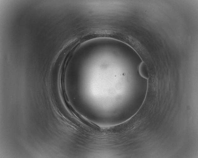 X0000073420731200608041023