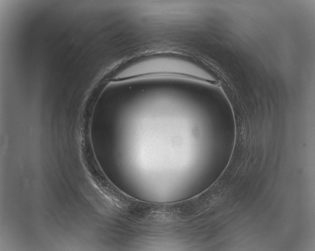 X0000073420732200608041024