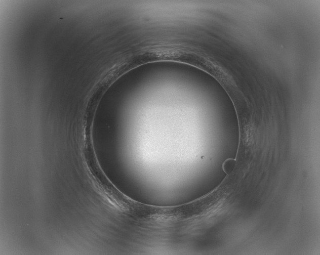 X0000073420733200608041024