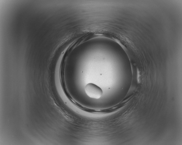 X0000073420735200608041024