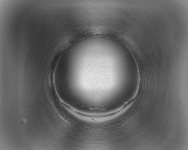 X0000073420740200608041024