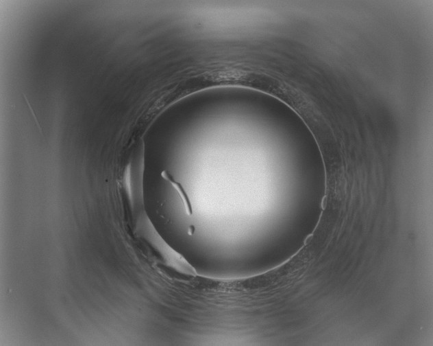 X0000073420743200608041024