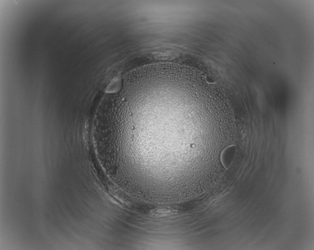 X0000073420745200608041024