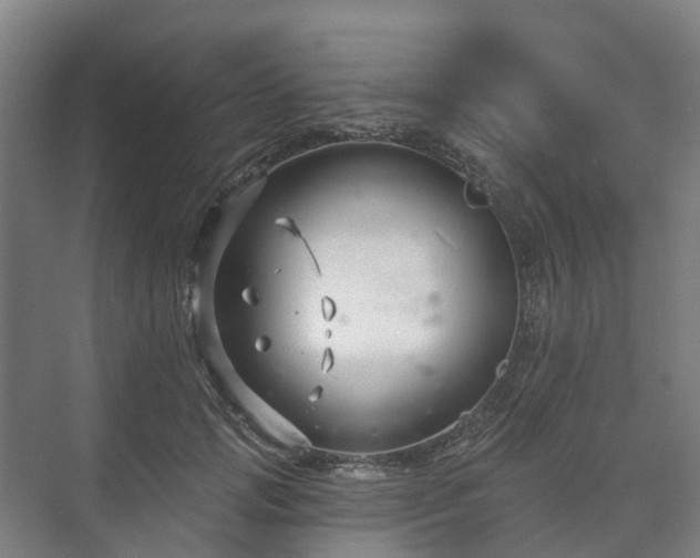 X0000073420749200608041024