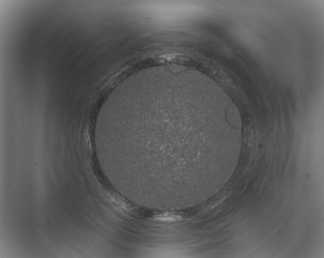 X0000073420754200608041024