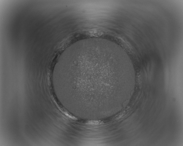 X0000073420757200608041024