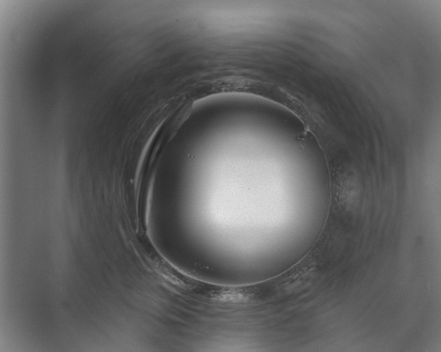 X0000073420759200608041024