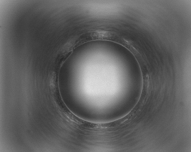 X0000073420760200608041024