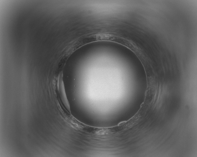 X0000073420761200608041024