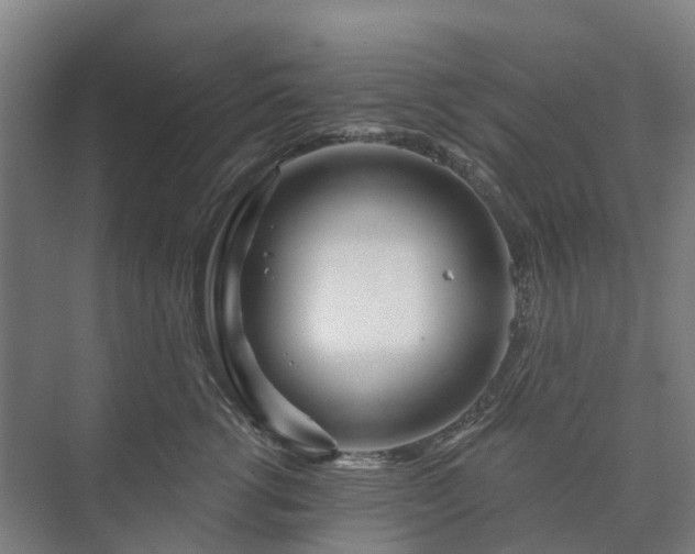 X0000073420762200608041024