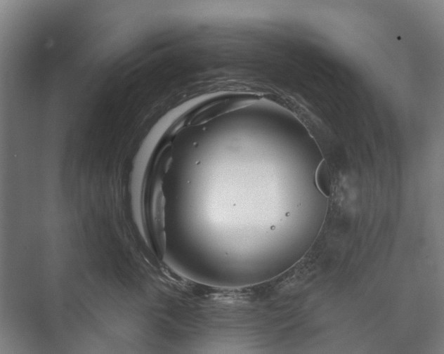 X0000073420763200608041024