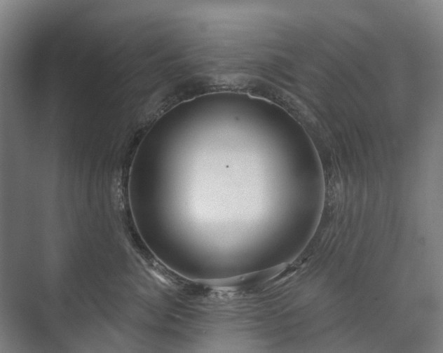 X0000073420764200608041024