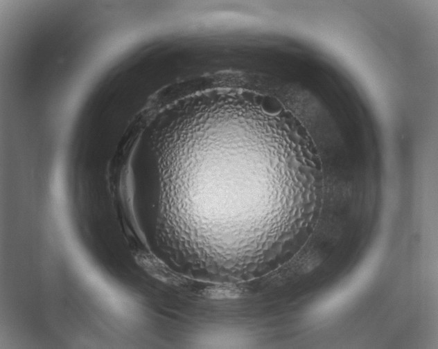 X0000073420765200608041024