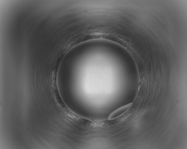 X0000073420767200608041024