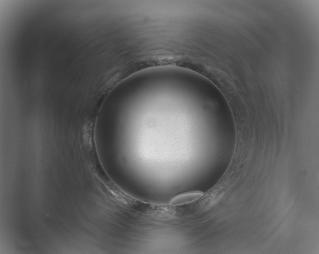 X0000073420768200608041024