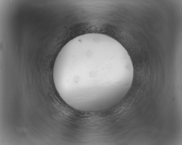 X0000073420769200608041023