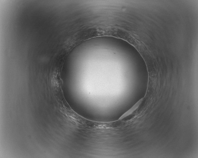 X0000073420770200608041023