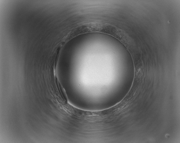 X0000073420772200608041023