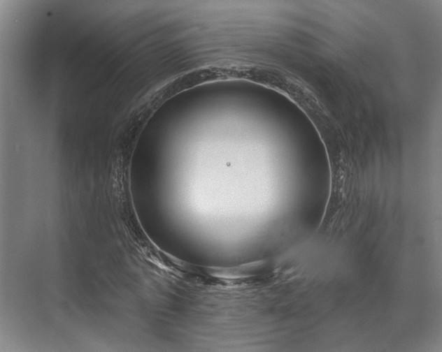 X0000073420773200608041023