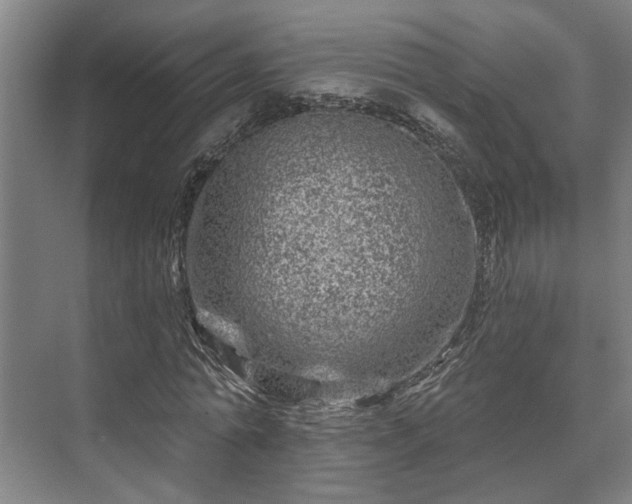 X0000073420774200608041023