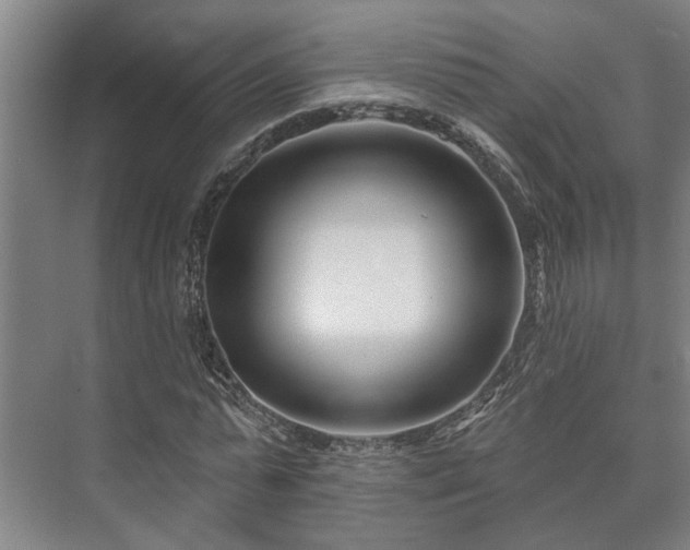 X0000073420775200608041023