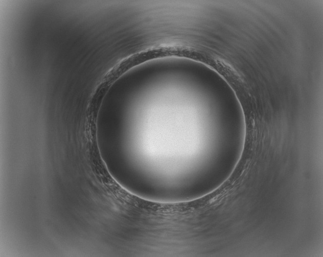 X0000073420776200608041023