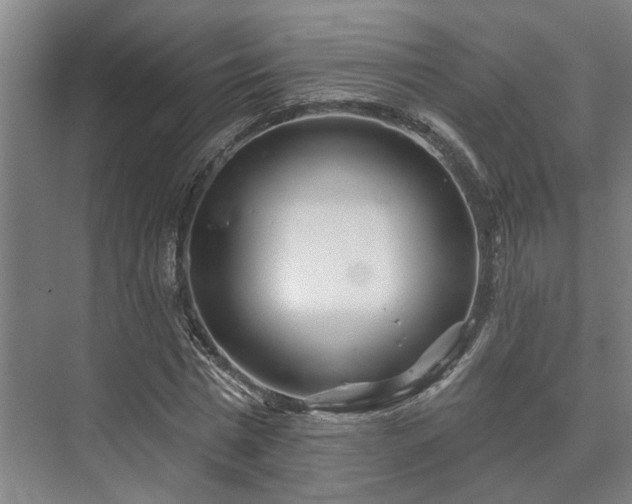 X0000073420777200608041023