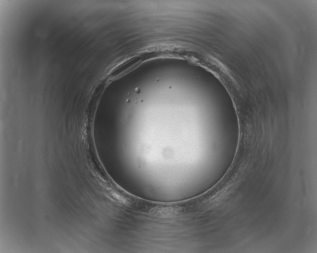 X0000073420778200608041023