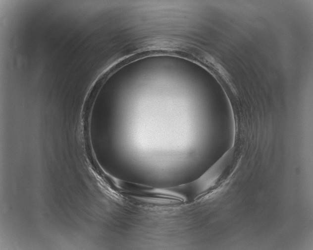 X0000073420779200608041023