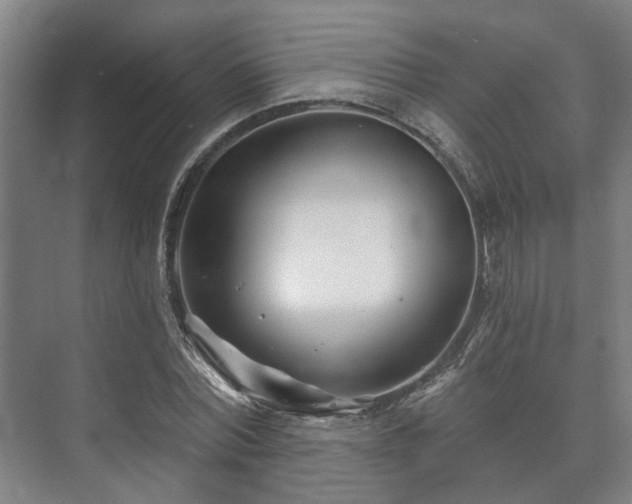 X0000073420780200608041023