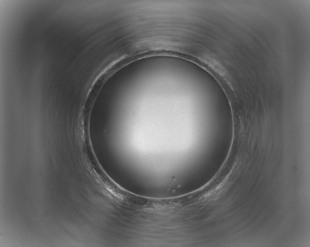 X0000073420782200608041023