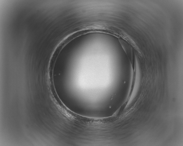 X0000073420784200608041023