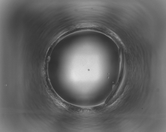 X0000073420786200608041023