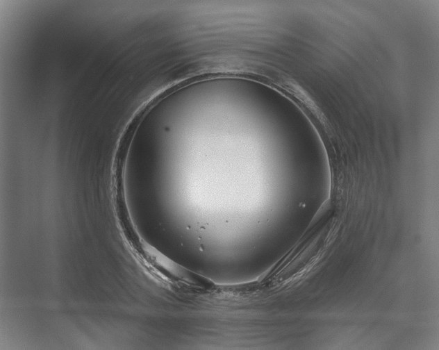 X0000073420787200608041023