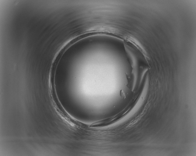 X0000073420788200608041023