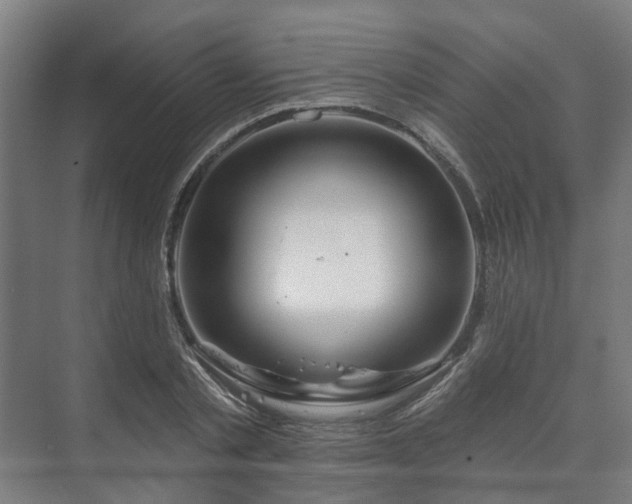 X0000073420789200608041023