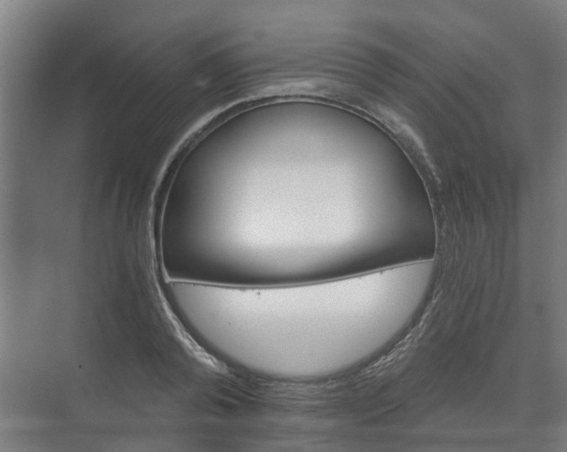 X0000073420792200608041023