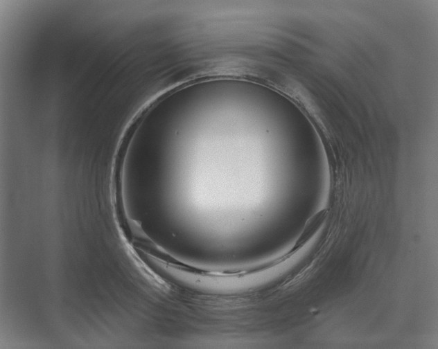 X0000073420795200608041023