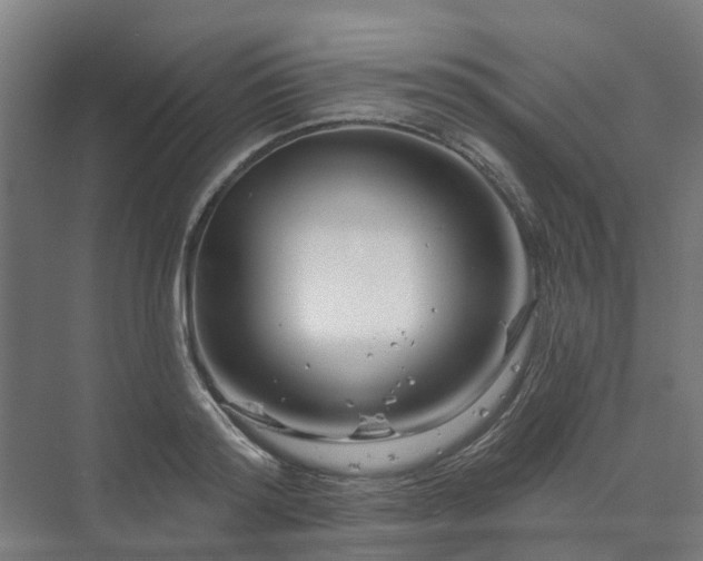 X0000073420796200608041023