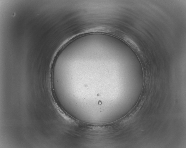 X0000073420800200608041023