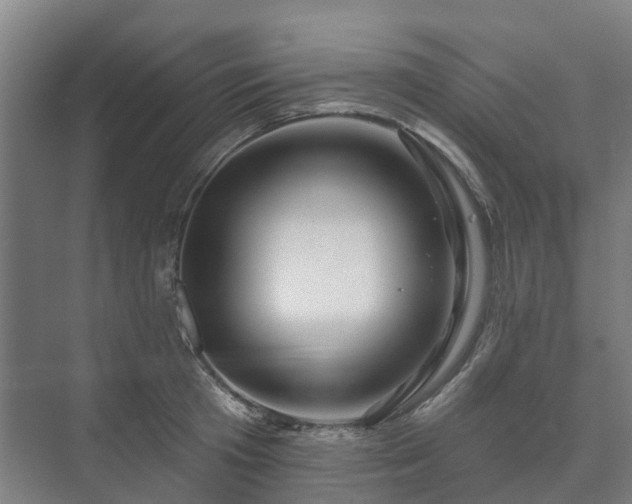 X0000073420801200608041023