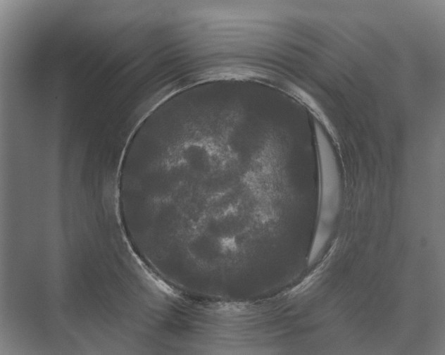 X0000073420802200608041023